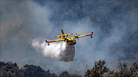 صور :حرائق غابات تجتاح شمالي المغرب وتتسبب في مقتل شخص وإجلاء 1300 أسرة صورة رقم 6