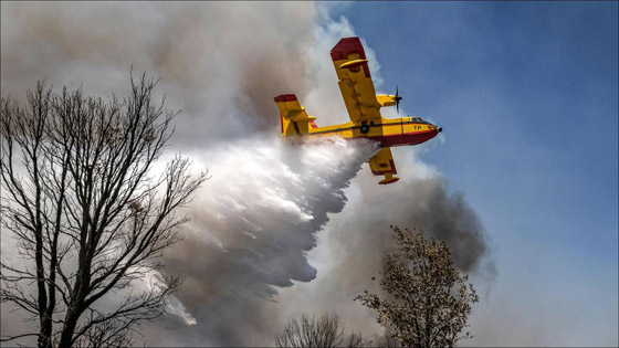 صور :حرائق غابات تجتاح شمالي المغرب وتتسبب في مقتل شخص وإجلاء 1300 أسرة صورة رقم 7