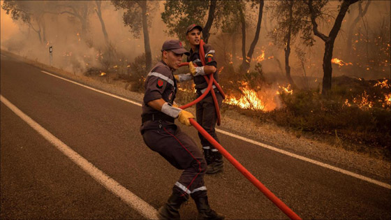 صور :حرائق غابات تجتاح شمالي المغرب وتتسبب في مقتل شخص وإجلاء 1300 أسرة صورة رقم 8