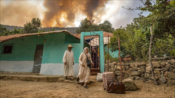 صور :حرائق غابات تجتاح شمالي المغرب وتتسبب في مقتل شخص وإجلاء 1300 أسرة صورة رقم 9