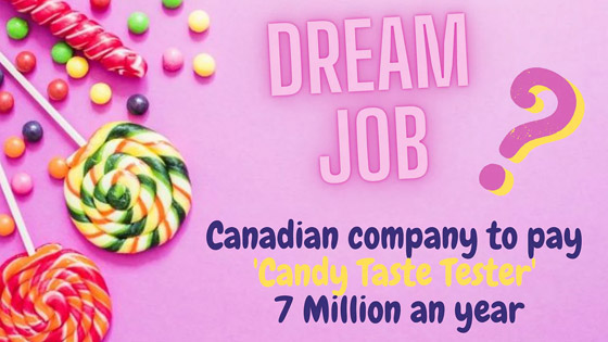 وظيفة الأحلام: شركة كندية تبحث عن متذوق للحلوى من المنزل براتب 78 ألف دولار صورة رقم 3