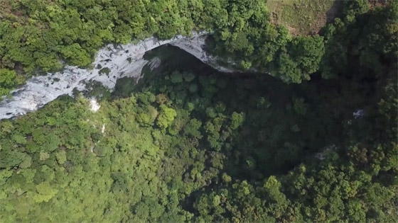 تشبه القصص الخيالية.. اكتشاف غابة كاملة داخل حفرة عميقة في الصين صورة رقم 10