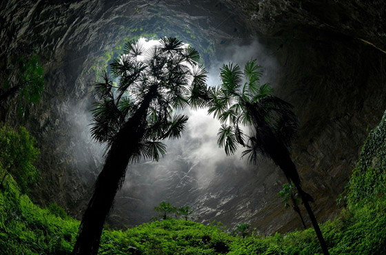 تشبه القصص الخيالية.. اكتشاف غابة كاملة داخل حفرة عميقة في الصين صورة رقم 1