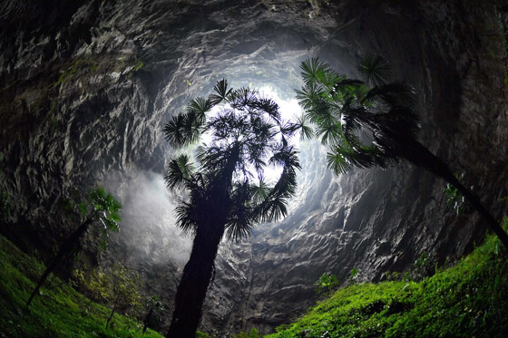تشبه القصص الخيالية.. اكتشاف غابة كاملة داخل حفرة عميقة في الصين صورة رقم 4