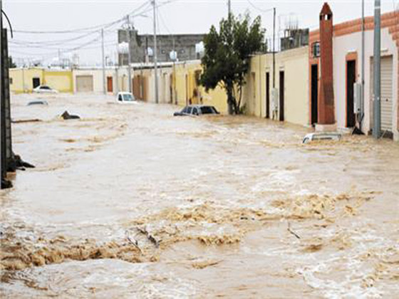 سيول تجرف حافلة بالسودان.. وفاة أم وابنتها وإصابة آخرين صورة رقم 6