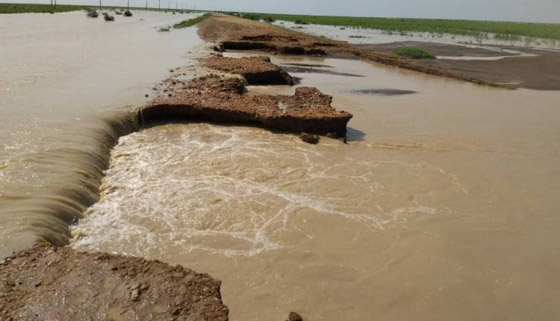 سيول تجرف حافلة بالسودان.. وفاة أم وابنتها وإصابة آخرين صورة رقم 11