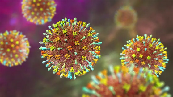 فيروس لانغا: فيروس حيواني جديد يُصيب عشرات الأشخاص في الصين صورة رقم 7