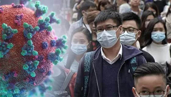 فيروس لانغا: فيروس حيواني جديد يُصيب عشرات الأشخاص في الصين صورة رقم 10