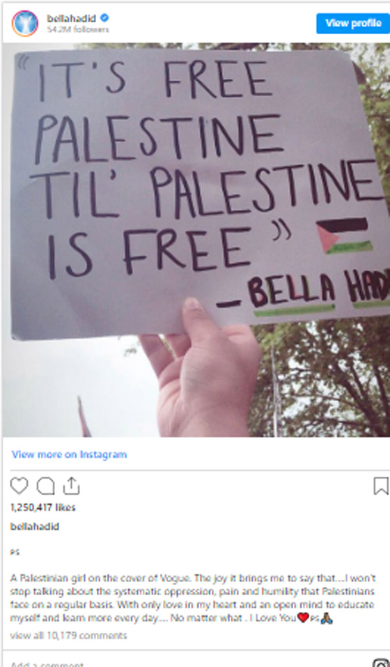 عارضة الأزياء بيلا حديد تعترف: تمت مقاطعتي وخسرت فرص عمل وعلاقات بسبب تأييدي لفلسطين.. صورة رقم 2
