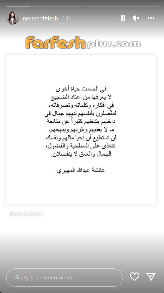 زوج نسرين طافش يخرج عن صمته عن انفصالهما بعدما حذفت الفنانة صورهما صورة رقم 2