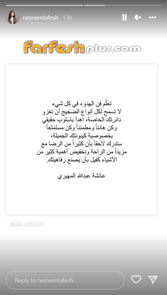 زوج نسرين طافش يخرج عن صمته عن انفصالهما بعدما حذفت الفنانة صورهما صورة رقم 3