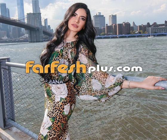 صور دينا حبيبة أبو هشيمة الرابعة.. مثقفة ومُثيرة.. هل هي أجمل من ياسمين صبري؟ صورة رقم 9