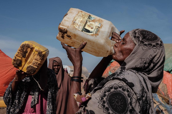 الأمم المتحدة تحذر: الصومال على حافة المجاعة ونوجه تنبيها أخيرا صورة رقم 1