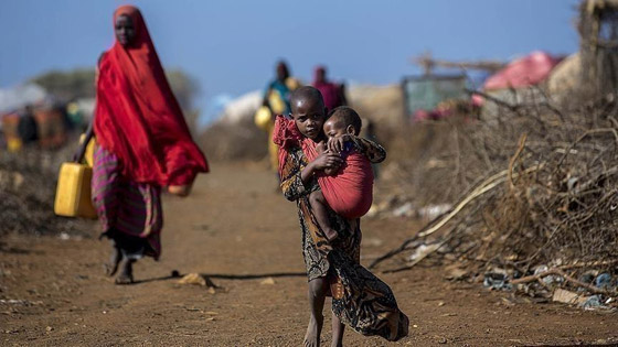 الأمم المتحدة تحذر: الصومال على حافة المجاعة ونوجه تنبيها أخيرا صورة رقم 6