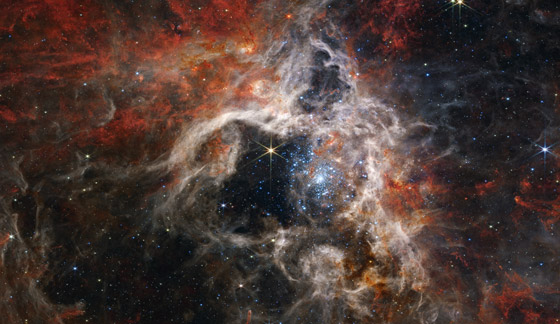صور مذهلة من الفضاء.. شاهدوا أين تولد النجوم في سديم الرتيلاء صورة رقم 1