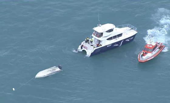 حادث اصطدام حوت بقارب في نيوزيلندا.. تسبب بمقتل 5 أشخاص صورة رقم 1