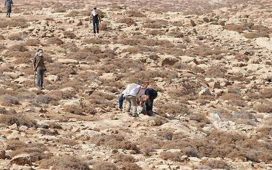 مستوطنون يضربون بوحشية مسنّة إسرائيلية صوّرتهم وهم يعتدون على فلسطينيين  صورة رقم 2