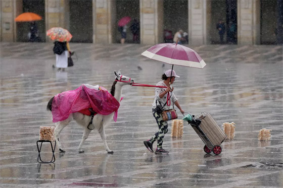 أبرز صور الأسبوع: إليكم أهم الأحداث المصورة من مختلف أنحاء العالم صورة رقم 8