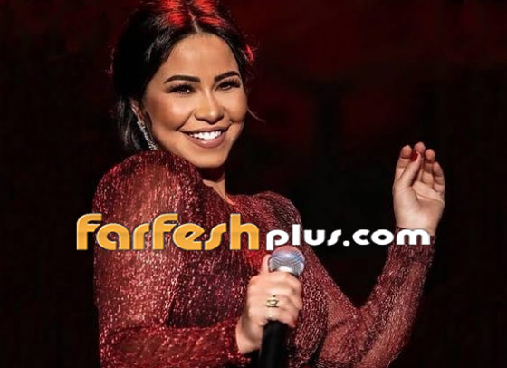 مفاجأة! شيرين عبد الوهاب عادت لمنزلها.. وتسريب رسالة صوتية صادمة لها! صورة رقم 3