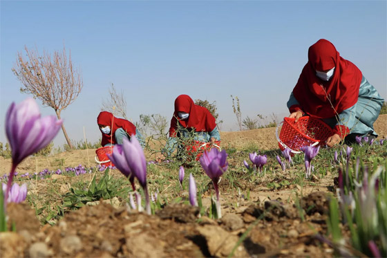 أبرز صور الأسبوع: إليكم أهم الأحداث المصورة من مختلف أنحاء العالم صورة رقم 15