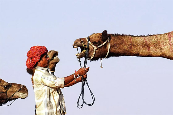 أبرز صور الأسبوع: إليكم أهم الأحداث المصورة من مختلف أنحاء العالم صورة رقم 23