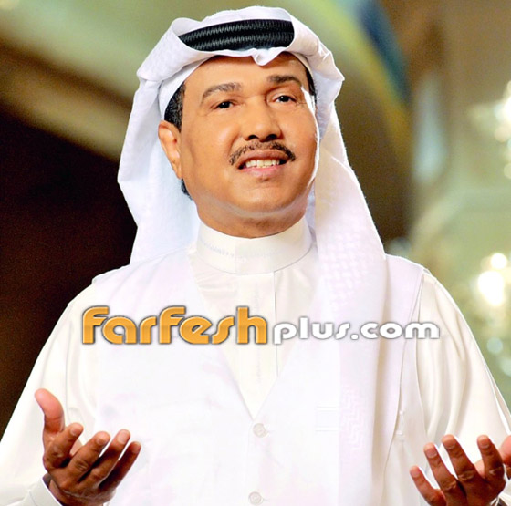ممتلكات النجوم: نوال الزغبي تخسر 17 مليون دولار.. أحلام وعمرو دياب وعادل إمام من أكبر الأغنياء صورة رقم 4