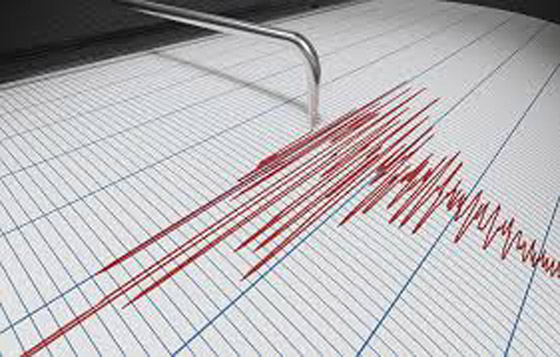 صور : زلزال عنيف يضرب جزر سليمان صورة رقم 10