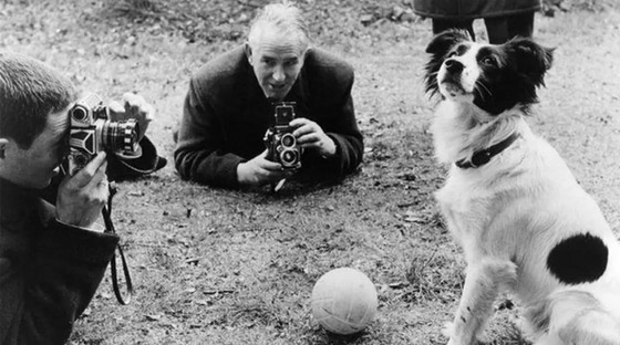 سنة 1966.. سُرقت كأس العالم وعثر عليها كلب صورة رقم 3