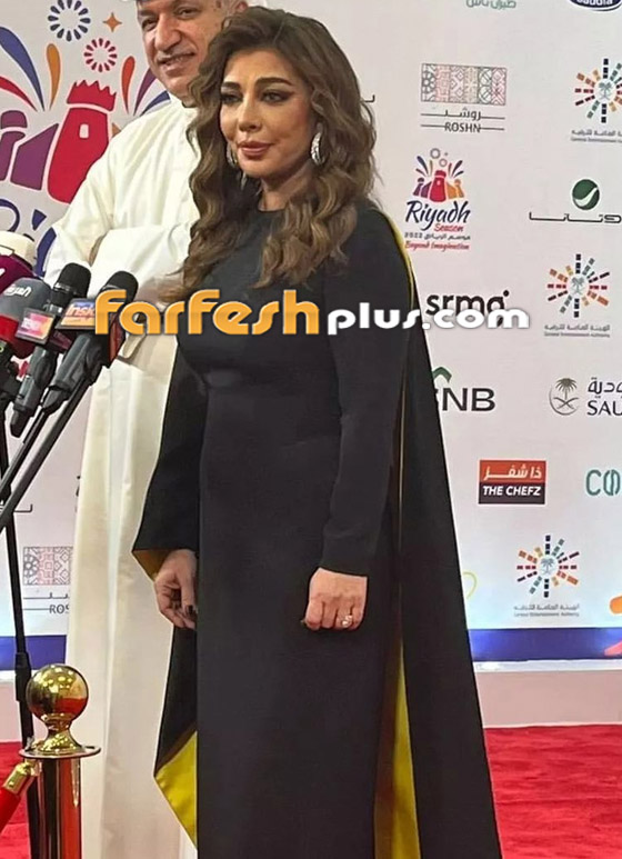 خبير تجميل يكشف أسرار عمليات التجميل لـ ميادة، أصالة وهيفاء صورة رقم 5