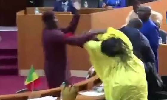 فيديو: نائب سنغالي يصفع زميلته على وجهها.. وتحولت لعراك بالأيدي بالبرلمان صورة رقم 3