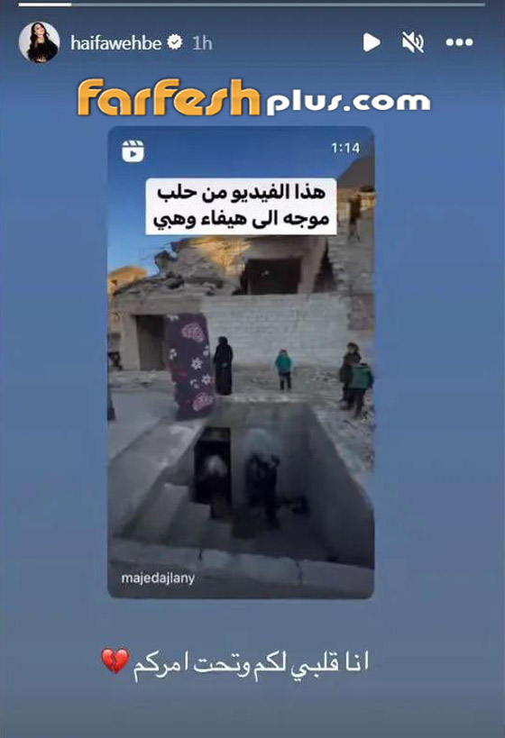 فيديو وصور: كيف ردت هيفاء وهبي على صحفي سوري ناشدها لإنقاذ أطفال سوريا؟ صورة رقم 3