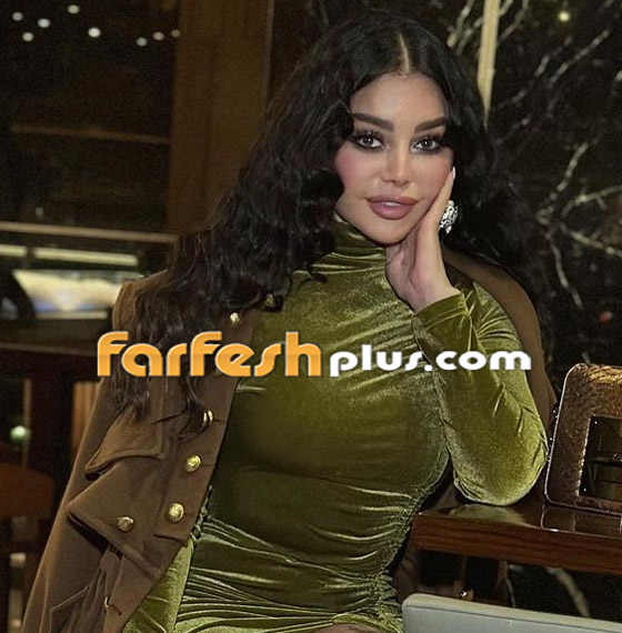 فيديو وصور: كيف ردت هيفاء وهبي على صحفي سوري ناشدها لإنقاذ أطفال سوريا؟ صورة رقم 8