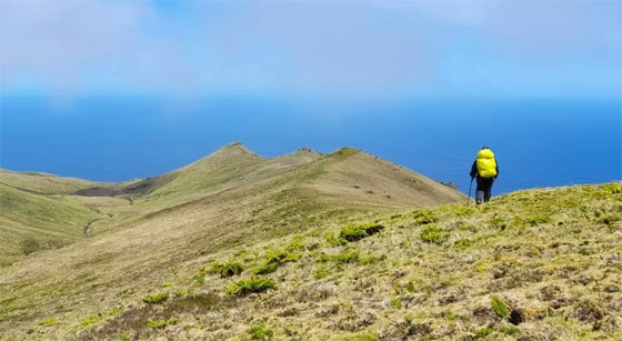 واحدة من أبعد جزر العالم تبحث عن عامل براتب مُجز لحماية الطيور صورة رقم 5