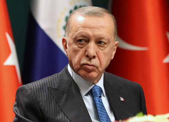 ماذا يعني خمس سنوات أخرى من حكم أردوغان؟ صورة رقم 7