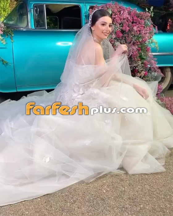 لماذا تم انفصال ماريتا عاصي الحلاني عن زوجها كميل أبي خليل؟ صورة رقم 7