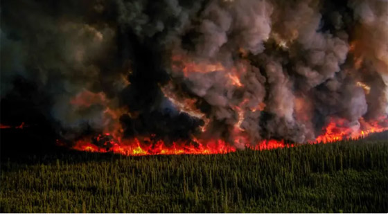 الحرائق تجتاح غابات كندا.. هل أشعل البرق شرارة النار؟ صورة رقم 1