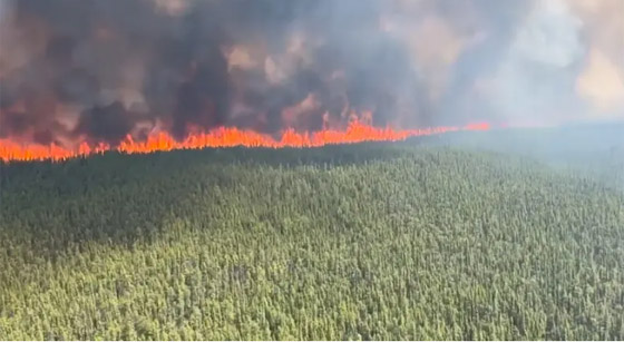 الحرائق تجتاح غابات كندا.. هل أشعل البرق شرارة النار؟ صورة رقم 2