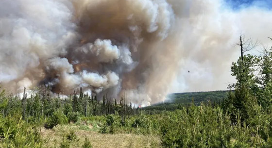 الحرائق تجتاح غابات كندا.. هل أشعل البرق شرارة النار؟ صورة رقم 3