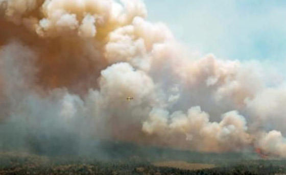 الحرائق تجتاح غابات كندا.. هل أشعل البرق شرارة النار؟ صورة رقم 4