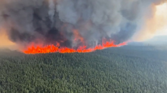 الحرائق تجتاح غابات كندا.. هل أشعل البرق شرارة النار؟ صورة رقم 6