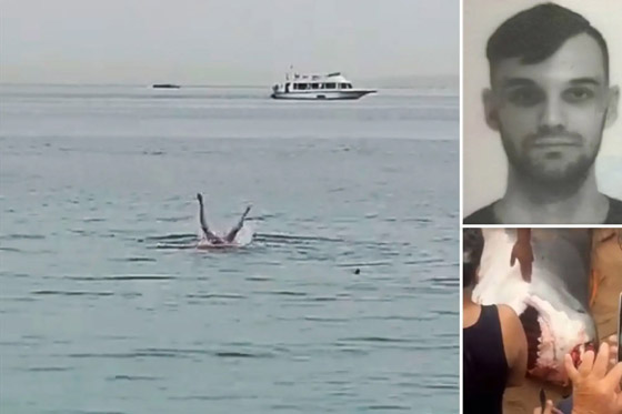 فيديو: السلطات المصرية تصطاد القرش القاتل الذي هاجم السائح الروسي صورة رقم 1