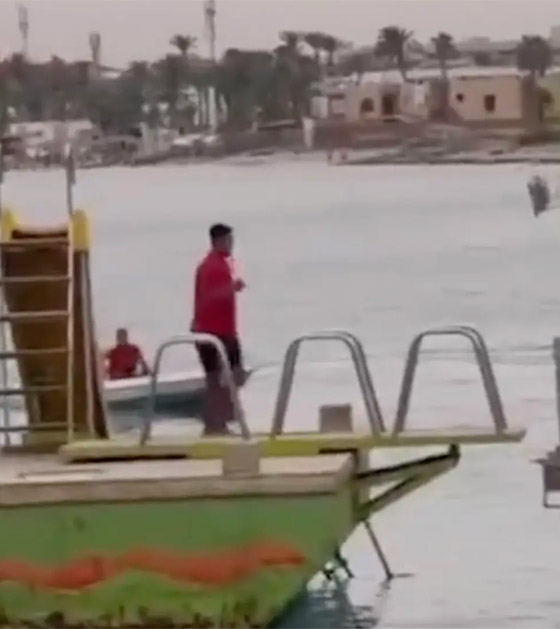 فيديو: السلطات المصرية تصطاد القرش القاتل الذي هاجم السائح الروسي صورة رقم 7