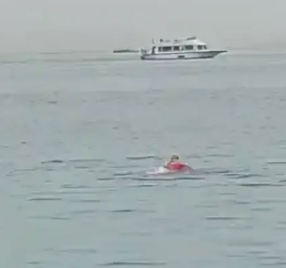 فيديو: السلطات المصرية تصطاد القرش القاتل الذي هاجم السائح الروسي صورة رقم 8