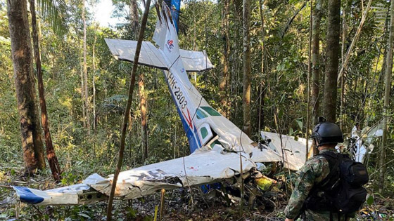 معجزة: العثور على أطفال تاهوا بالأدغال نحو 40 يوما بعد تحطم طائرة! صورة رقم 2