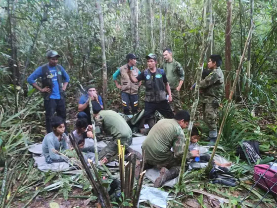 معجزة: العثور على أطفال تاهوا بالأدغال نحو 40 يوما بعد تحطم طائرة! صورة رقم 5