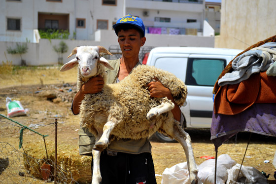 السعودية تعلن موعد عيد الأضحى المبارك: الأربعاء 28 يونيو/حزيران أول أيام العيد صورة رقم 2