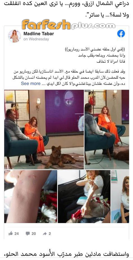 ‏فيديو وصور: أسد يهاجم مادلين طبر ويعضها على الهواء خلال تصوير برنامجها صورة رقم 1