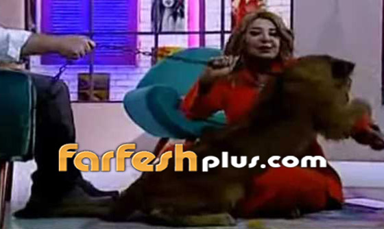 ‏فيديو وصور: أسد يهاجم مادلين طبر ويعضها على الهواء خلال تصوير برنامجها صورة رقم 6
