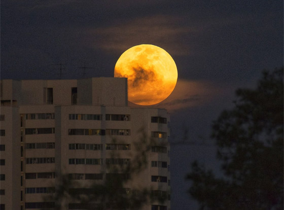 سيصبح قريبا جدا من الأرض.. القمر العملاق يزين سماء الوطن العربي اليوم صورة رقم 8