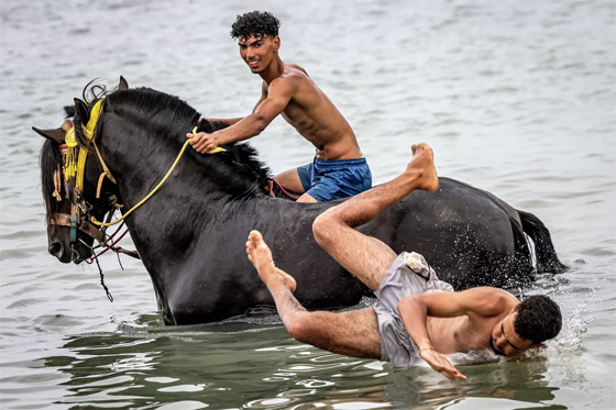 بالصور: فرسان الفنتازيا المغربية في مياه المحيط الأطلسي صورة رقم 3